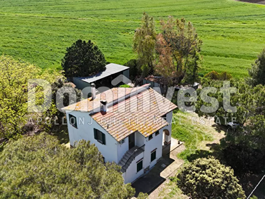 Immagine 4 di Rustico / casale in vendita  in Selva nera a Capalbio