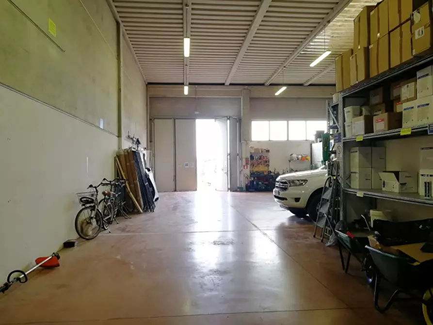 Immagine 13 di Capannone industriale in affitto  a Rovigo