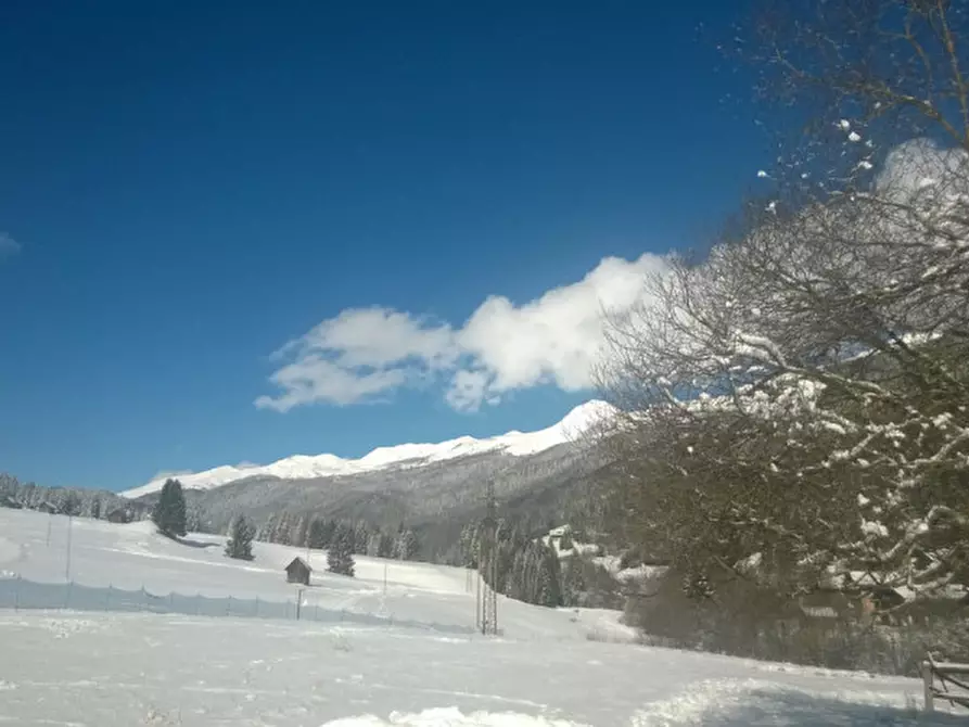 Immagine 10 di Appartamento in affitto  in Via Valgrande a Comelico Superiore