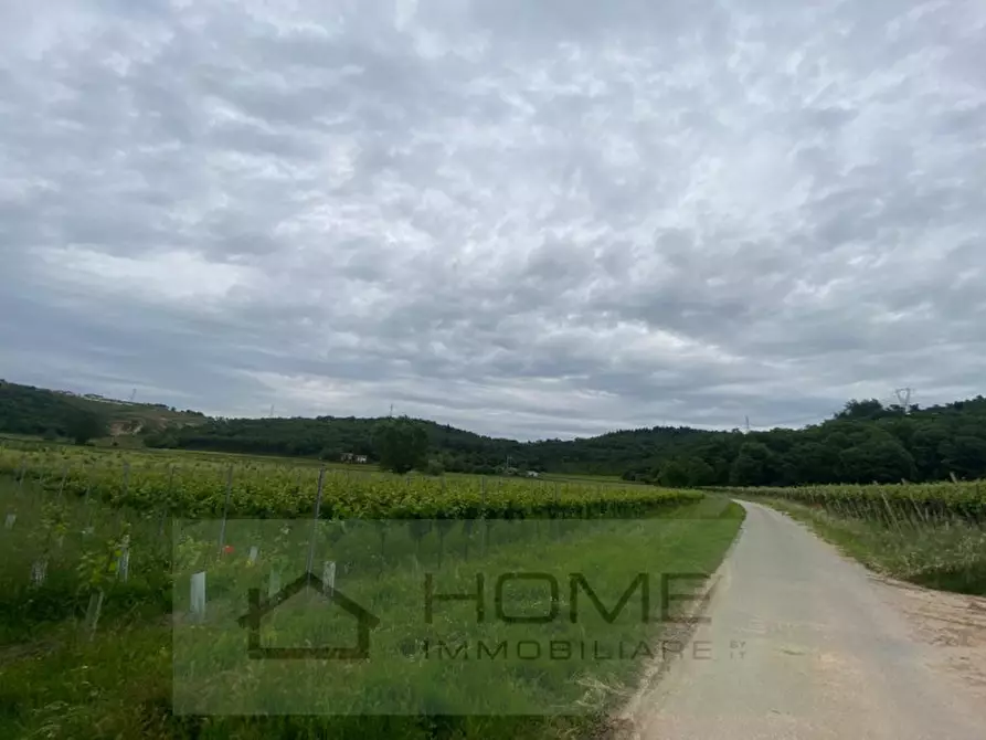 Immagine 2 di Terreno in vendita  a Albettone