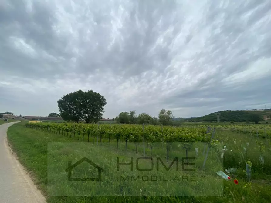 Immagine 3 di Terreno in vendita  a Albettone
