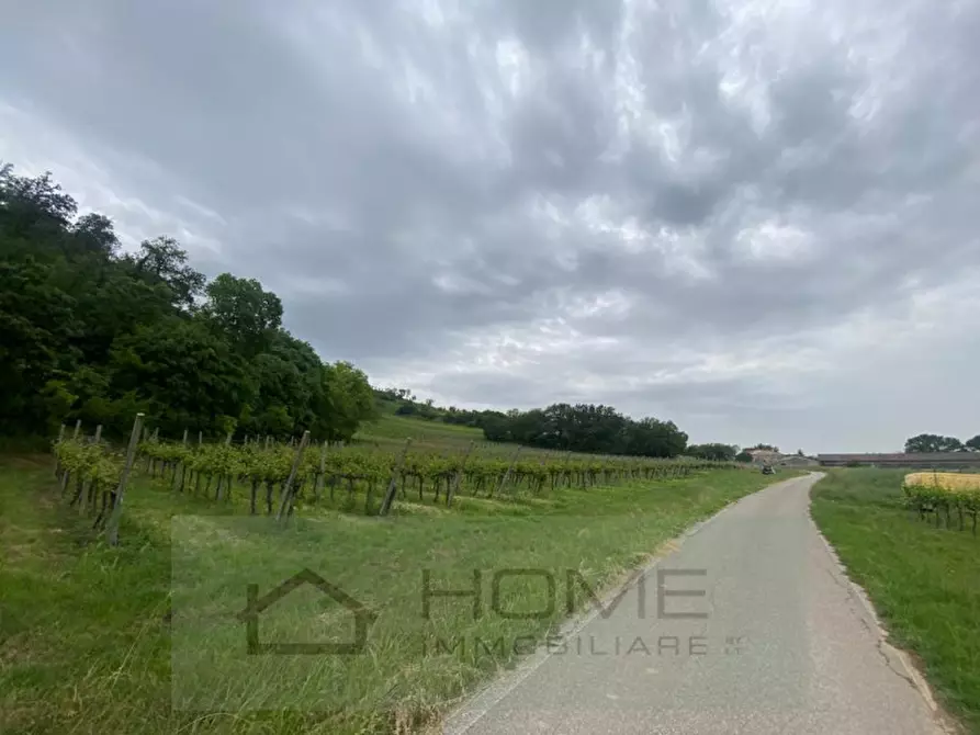 Immagine 4 di Terreno in vendita  a Albettone