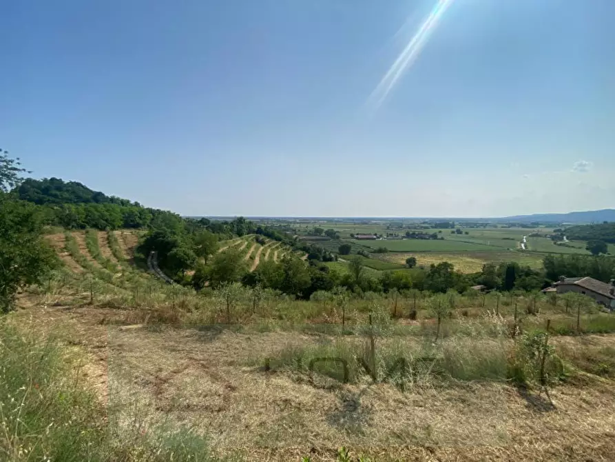Immagine 6 di Terreno in vendita  a Albettone