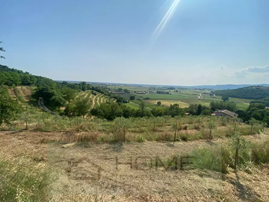Immagine 8 di Terreno in vendita  a Albettone