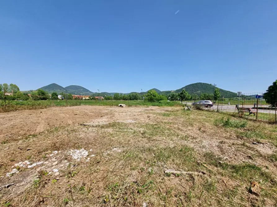 Immagine 5 di Terreno in vendita  in via guido negri a Lozzo Atestino
