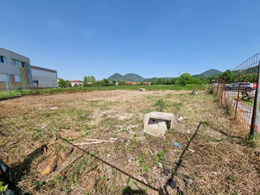 Immagine 6 di Terreno in vendita  in via guido negri a Lozzo Atestino