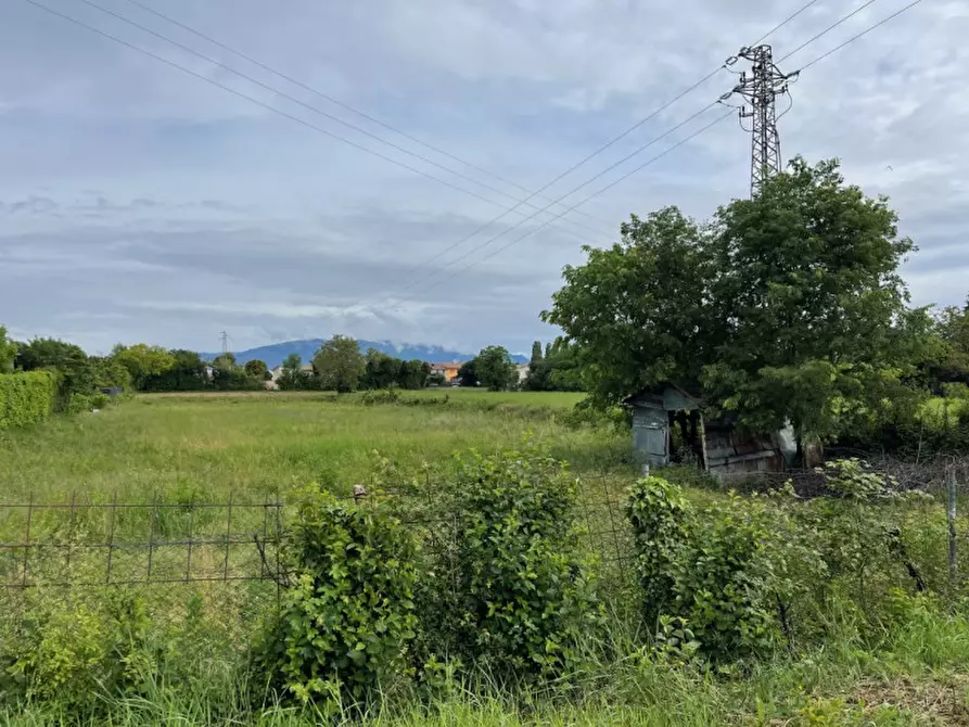 Immagine 5 di Terreno in vendita  a Montebelluna