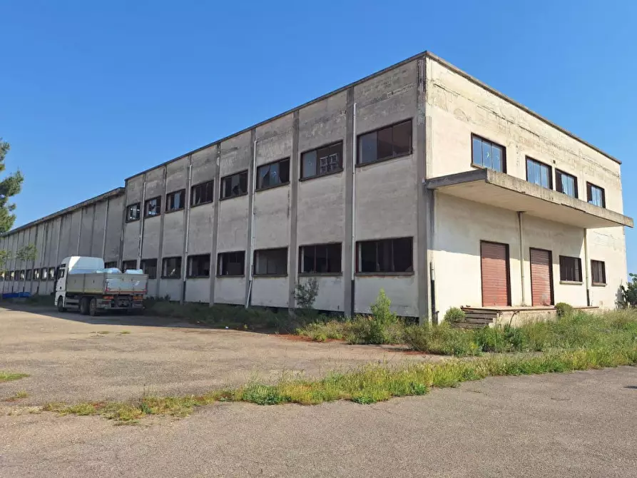 Immagine 1 di Capannone industriale in vendita  in contrada Montedoro, N. snc a Palagianello