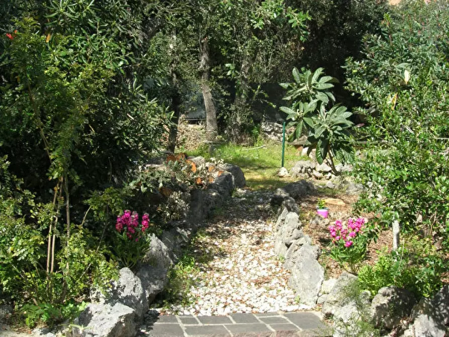 Immagine 4 di Villa in affitto  in Via delle Gardenie a Orbetello
