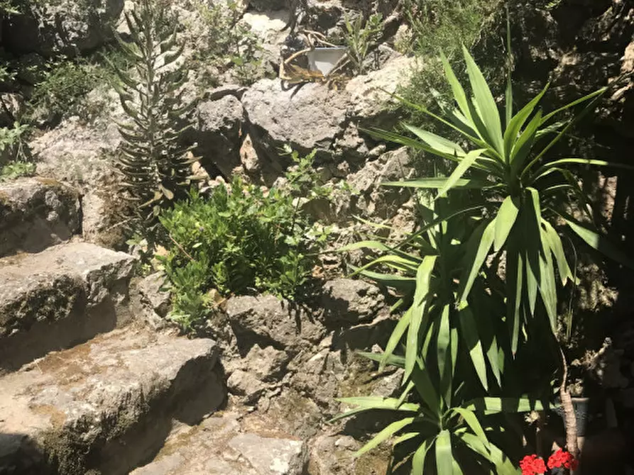 Immagine 8 di Villa in affitto  in Via delle Gardenie a Orbetello