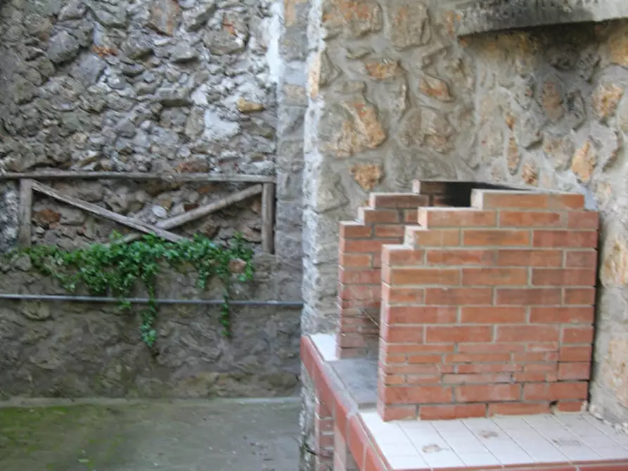 Immagine 11 di Villa in affitto  in Via delle Gardenie a Orbetello