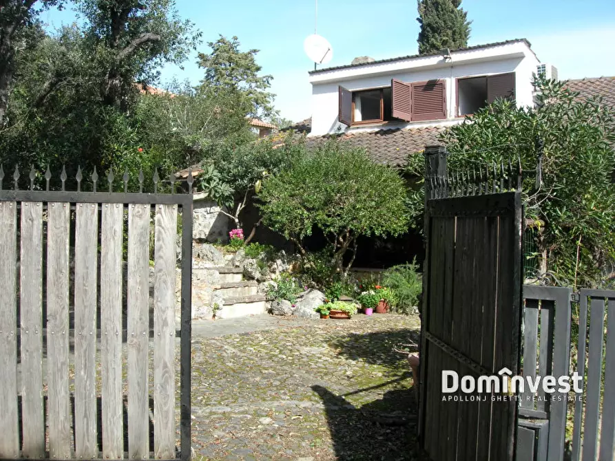 Immagine 29 di Villa in affitto  in Via delle Gardenie a Orbetello