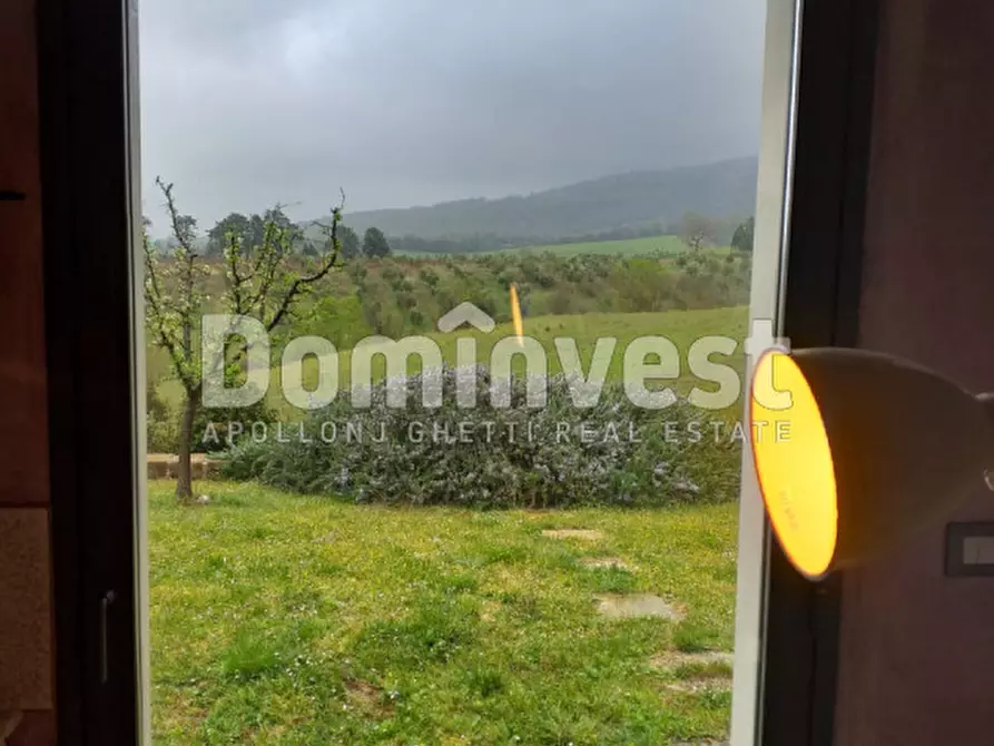 Immagine 20 di Rustico / casale in affitto  in vallerana a Capalbio