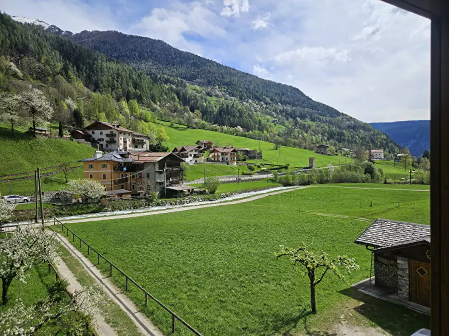 Immagine 28 di Rustico / casale in vendita  in Pracorno, n.134 a Rabbi