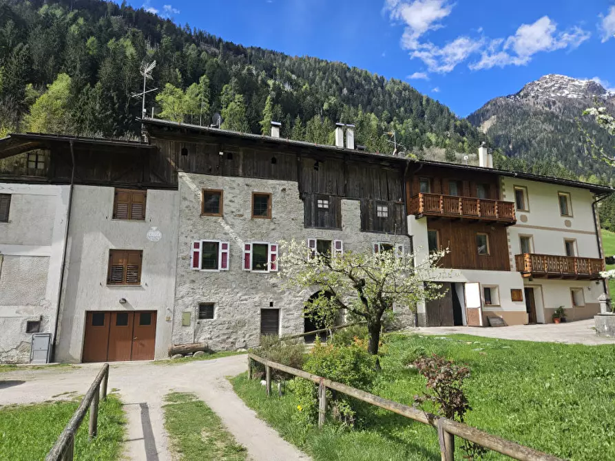 Immagine 32 di Rustico / casale in vendita  in Pracorno, n.134 a Rabbi