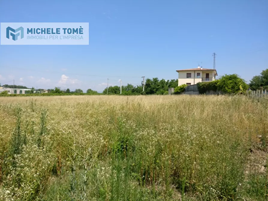 Immagine 6 di Terreno in vendita  in via mantovana a Pastrengo