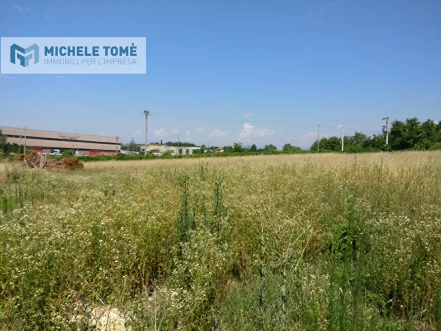 Immagine 9 di Terreno in vendita  in via mantovana a Pastrengo