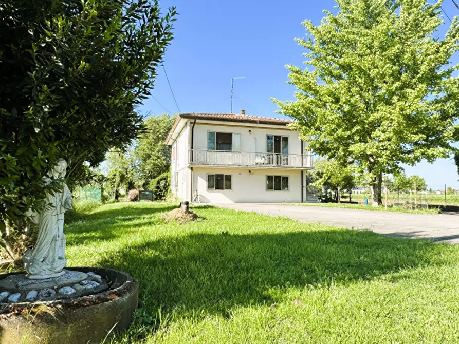 Immagine 1 di Casa indipendente in vendita  in Via Este 100 a Masi