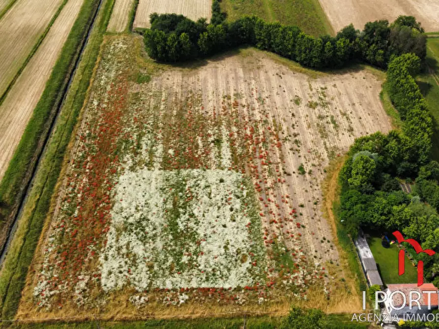 Immagine 2 di Terreno in vendita  in via chiesa a Mirano