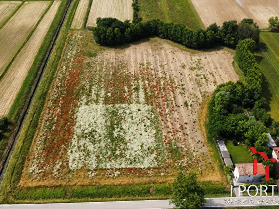 Immagine 7 di Terreno in vendita  in via chiesa a Mirano