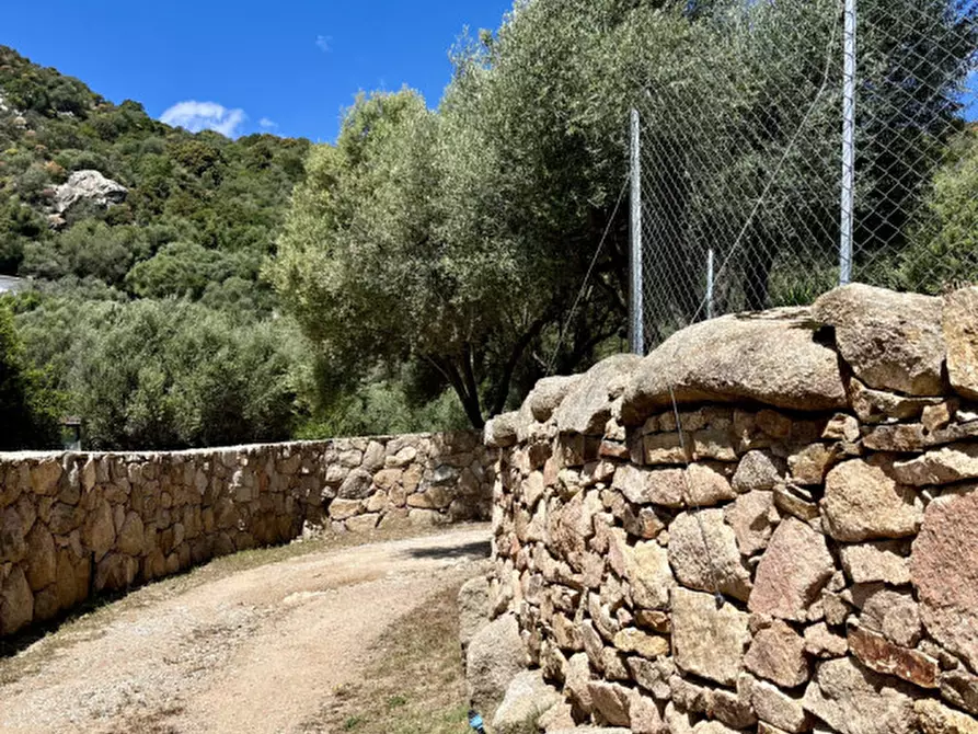 Immagine 2 di Casa bifamiliare in vendita  a Olbia