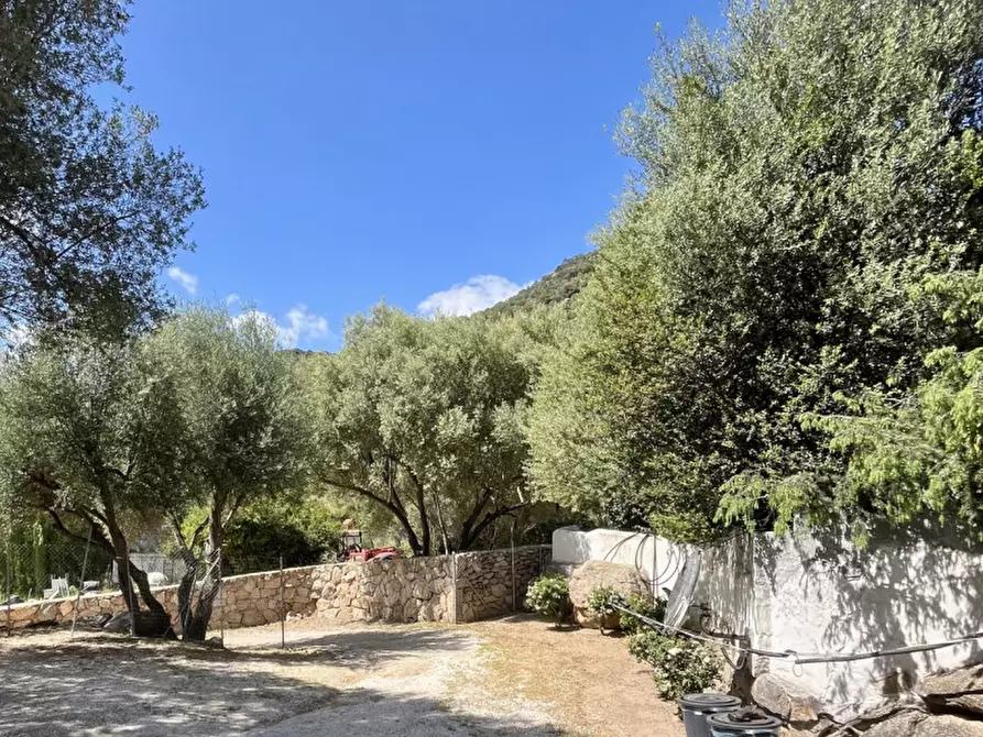 Immagine 3 di Casa bifamiliare in vendita  a Olbia