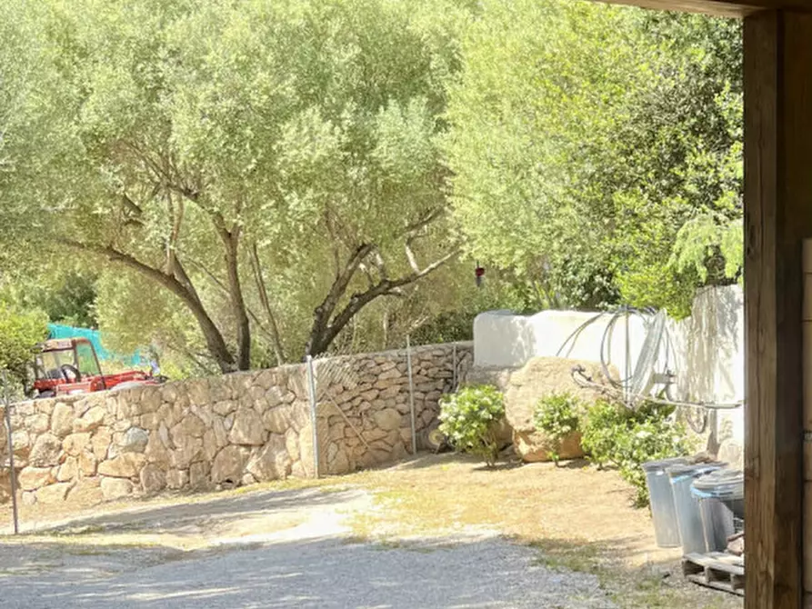 Immagine 4 di Casa bifamiliare in vendita  a Olbia