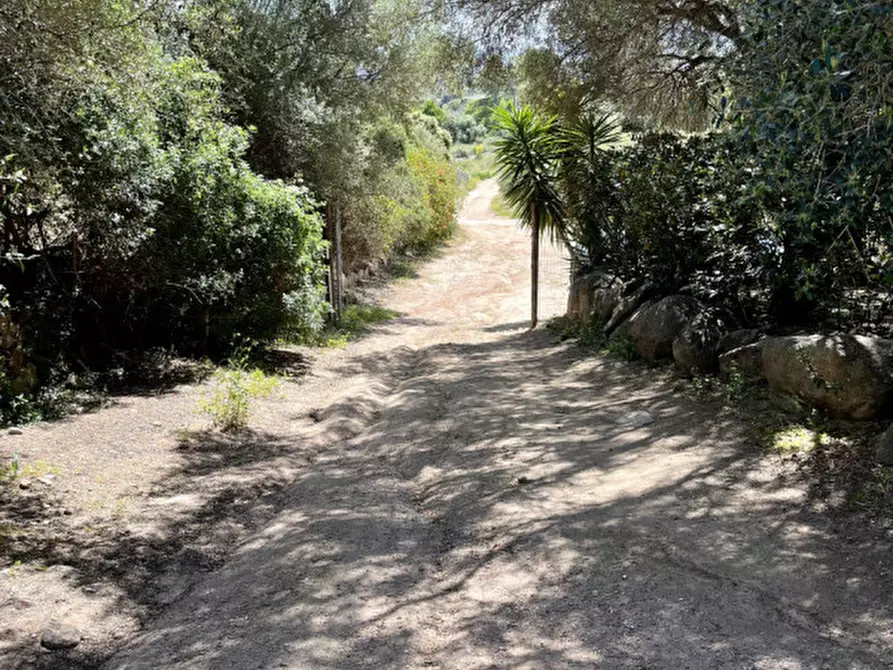 Immagine 30 di Casa bifamiliare in vendita  a Olbia