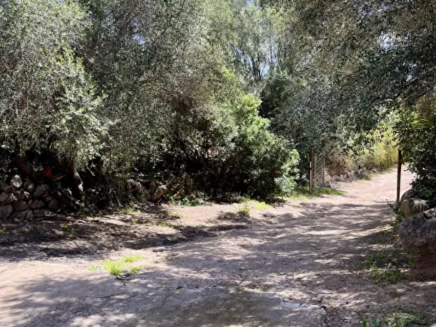 Immagine 31 di Casa bifamiliare in vendita  a Olbia