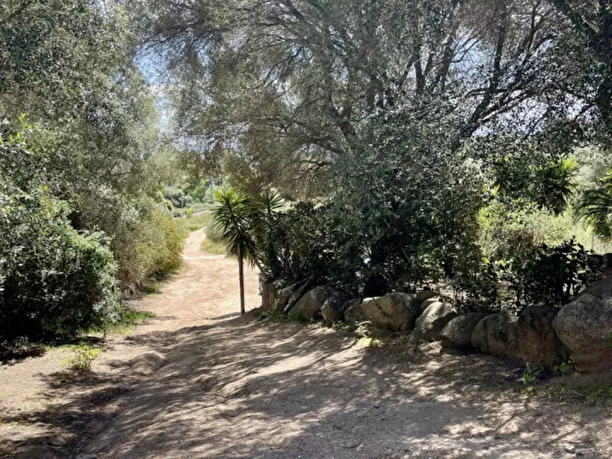 Immagine 37 di Casa bifamiliare in vendita  a Olbia