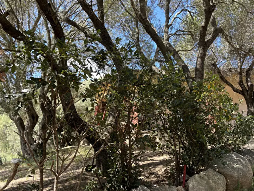 Immagine 38 di Casa bifamiliare in vendita  a Olbia