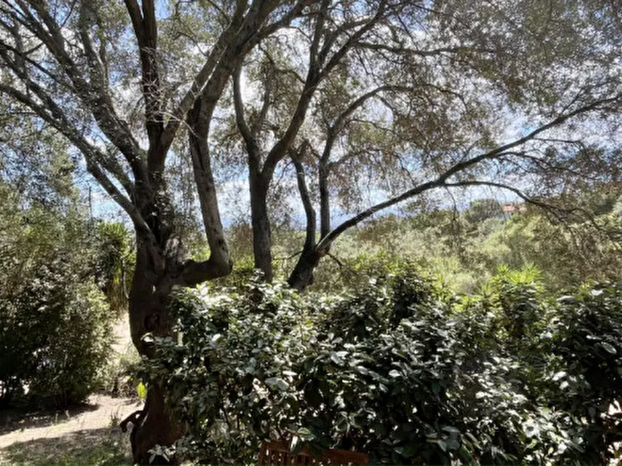 Immagine 39 di Casa bifamiliare in vendita  a Olbia