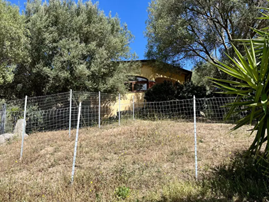 Immagine 40 di Casa bifamiliare in vendita  a Olbia