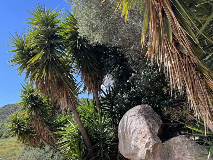 Immagine 41 di Casa bifamiliare in vendita  a Olbia