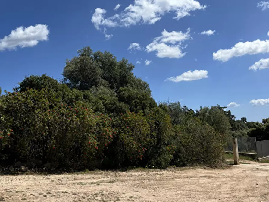 Immagine 42 di Casa bifamiliare in vendita  a Olbia