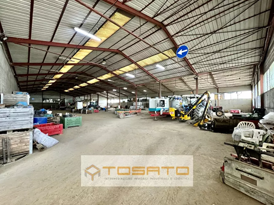 Immagine 1 di Capannone industriale in vendita  a Salizzole