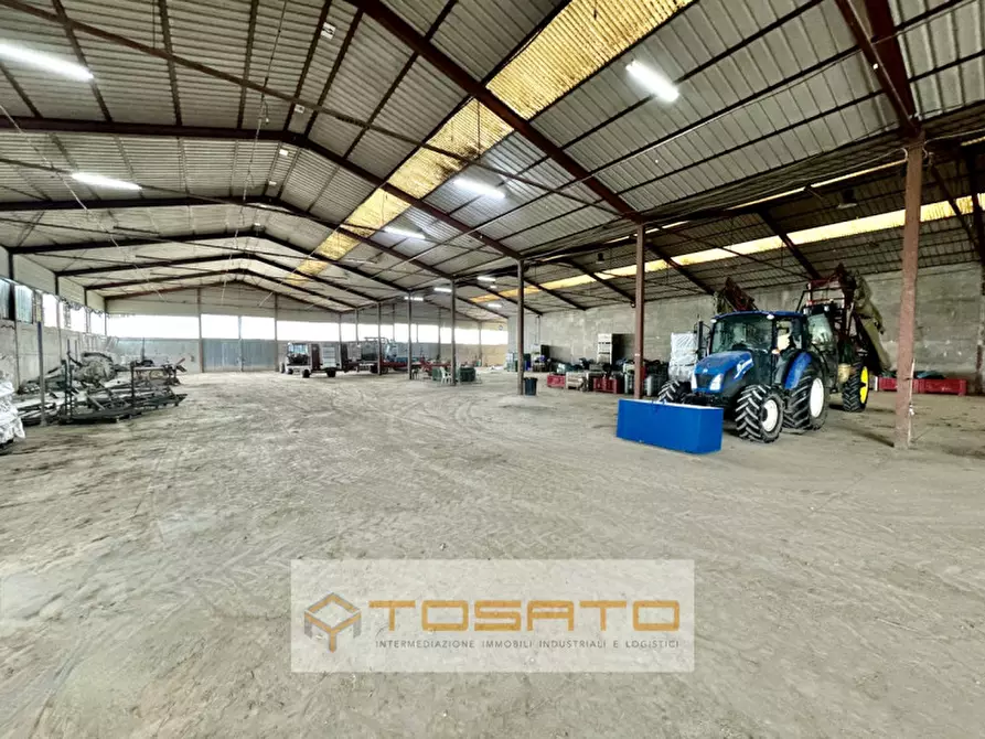 Immagine 1 di Capannone industriale in vendita  a Salizzole