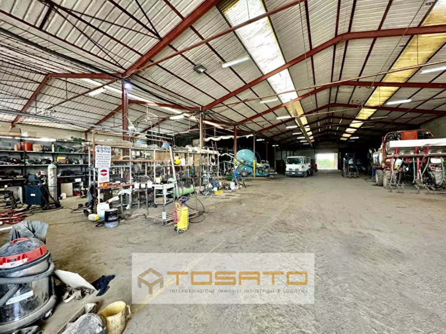 Immagine 3 di Capannone industriale in vendita  a Salizzole