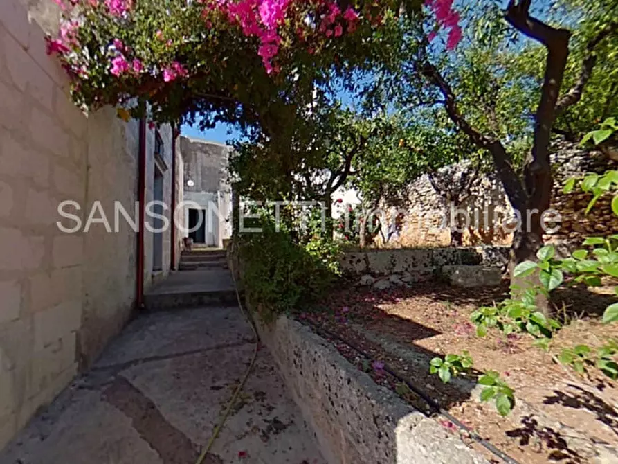 Immagine 15 di Palazzo in vendita  a Specchia