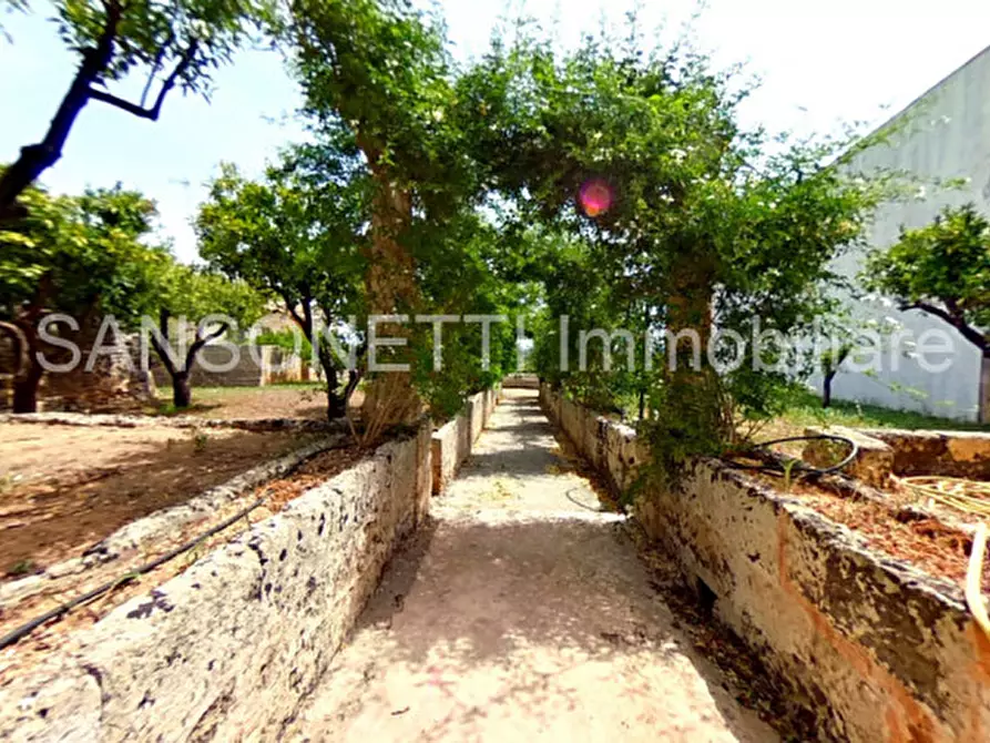 Immagine 16 di Palazzo in vendita  a Specchia