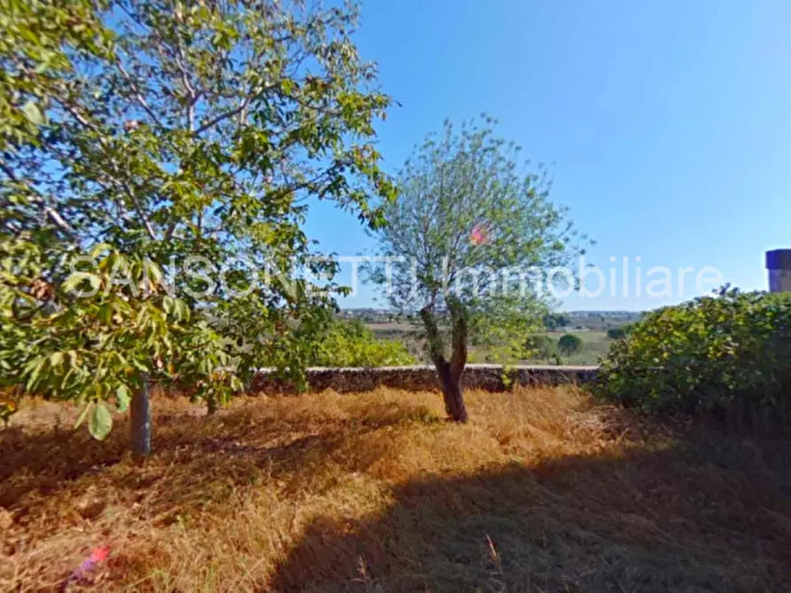 Immagine 18 di Palazzo in vendita  a Specchia