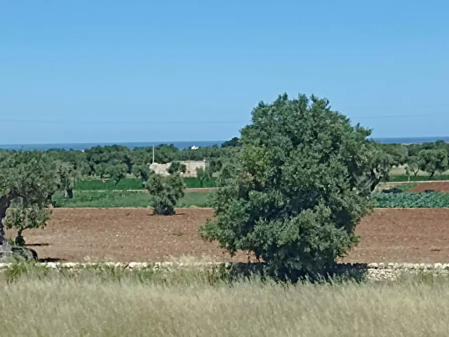 Immagine 12 di Rustico / casale in vendita  in RUDA a Fasano