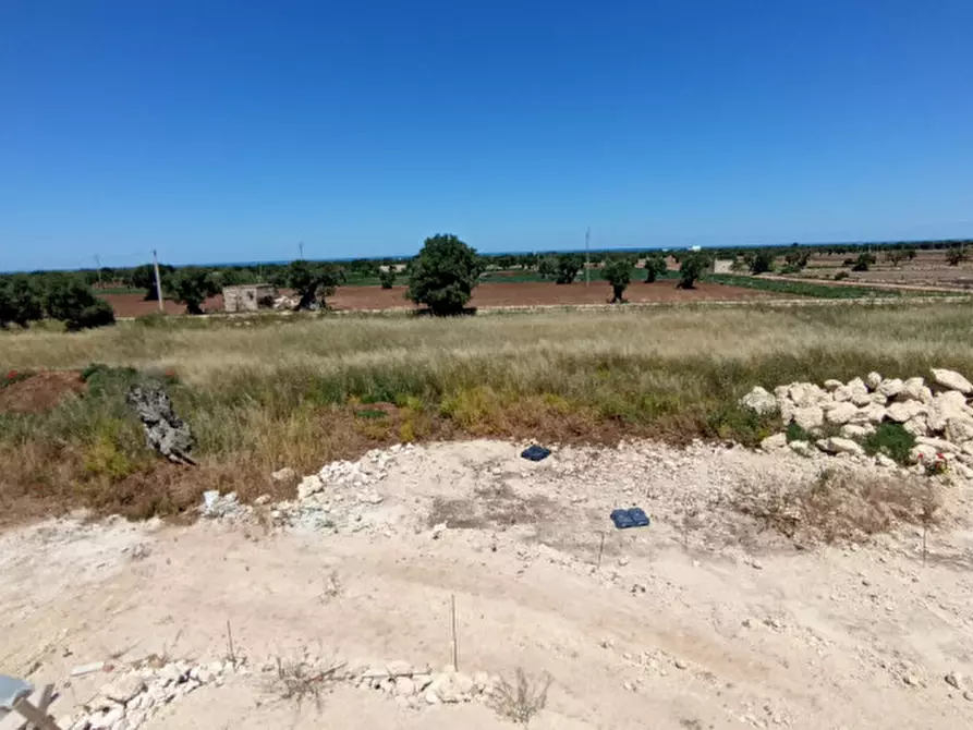 Immagine 14 di Rustico / casale in vendita  in RUDA a Fasano