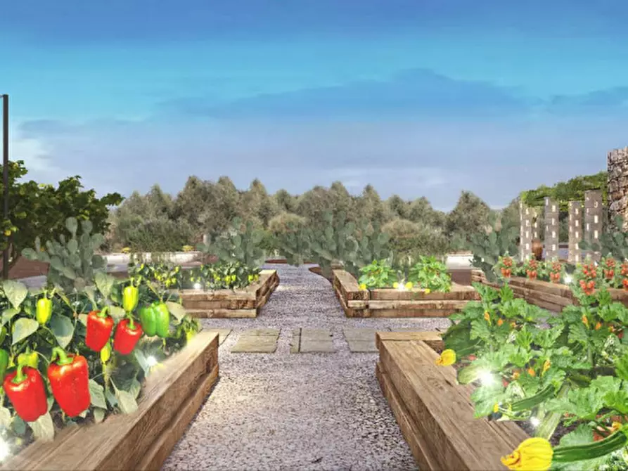 Immagine 36 di Rustico / casale in vendita  in RUDA a Fasano