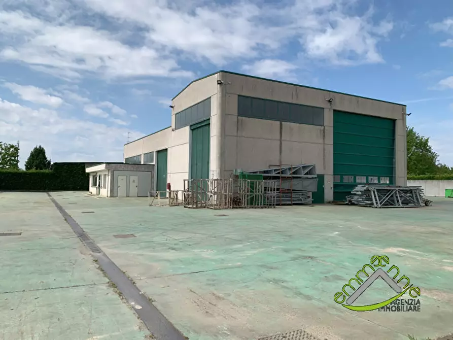 Immagine 4 di Capannone industriale in affitto  in via giacomo puccini a Campagna Lupia