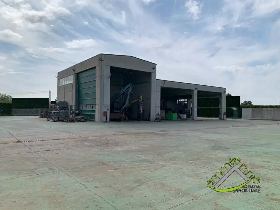 Immagine 5 di Capannone industriale in affitto  in via giacomo puccini a Campagna Lupia