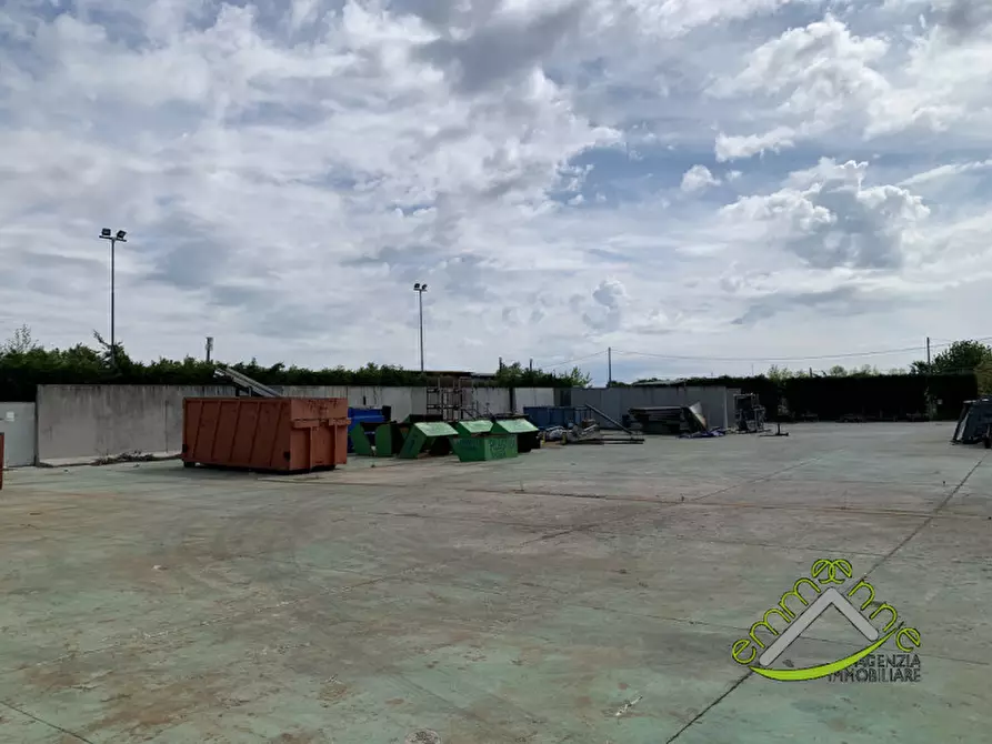 Immagine 6 di Capannone industriale in affitto  in via giacomo puccini a Campagna Lupia