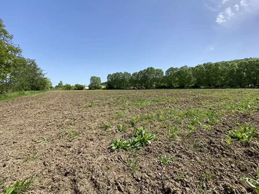 Immagine 1 di Terreno in vendita  a Teolo