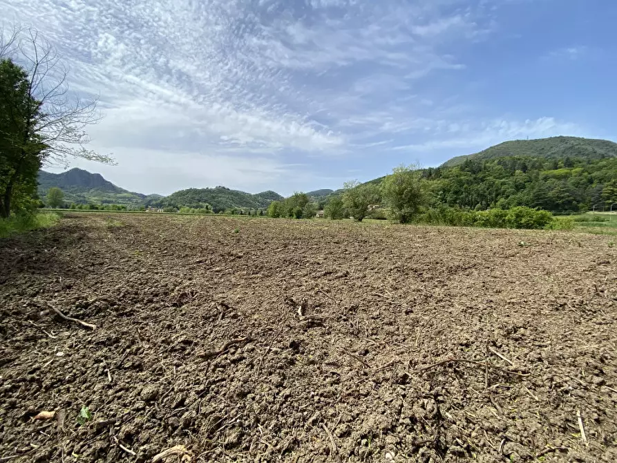 Immagine 1 di Terreno in vendita  a Teolo