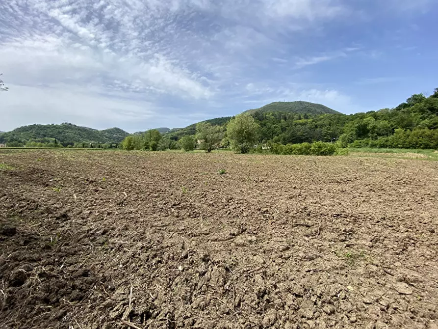 Immagine 1 di Terreno in vendita  a Teolo